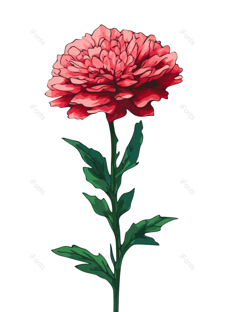 母亲节背景图片,母亲节素材元素,PNG,免抠素材